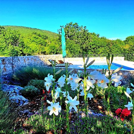 Ljubitovica Relaxing Dalmatian House In Village מראה חיצוני תמונה