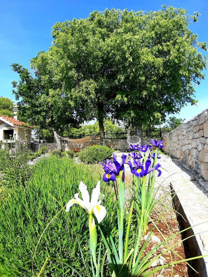 Ljubitovica Relaxing Dalmatian House In Village מראה חיצוני תמונה
