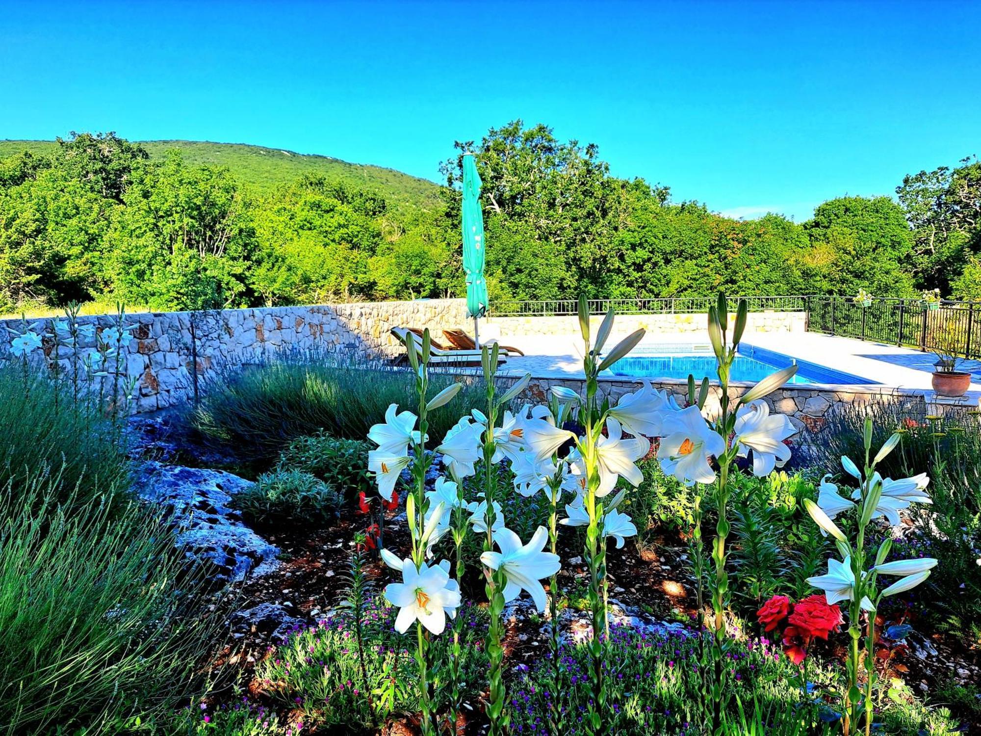 Ljubitovica Relaxing Dalmatian House In Village מראה חיצוני תמונה